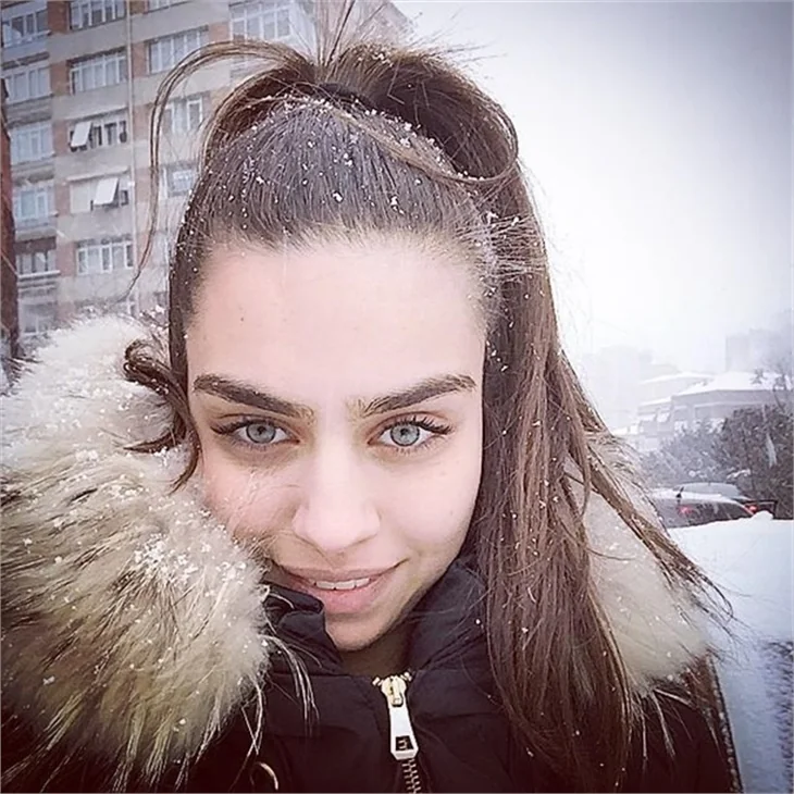 Amine Gülşe kimdir?