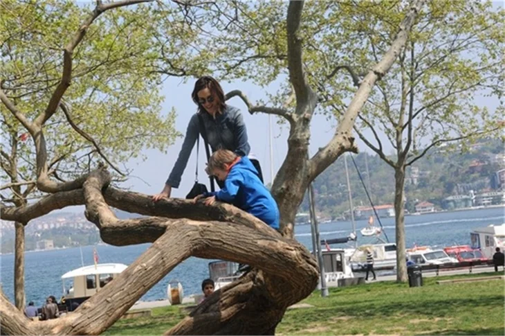 Sema Şimşek: Bizde bakıcı mantığı yok