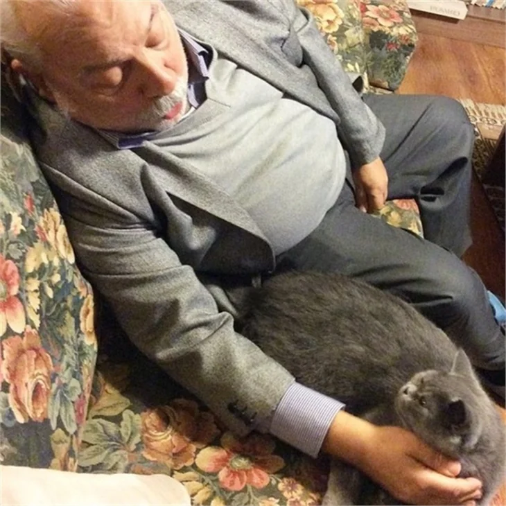 Zeki Alasya'nın son fotoğrafları...