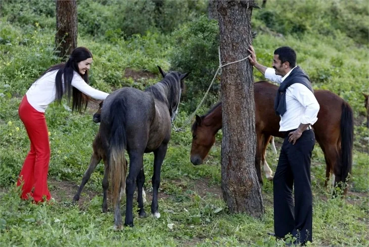 Karadayı 111. Bölüm: Mahir ve Feride balayında!