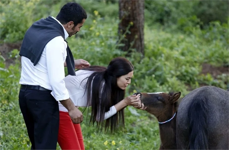Karadayı 111. Bölüm: Mahir ve Feride balayında!