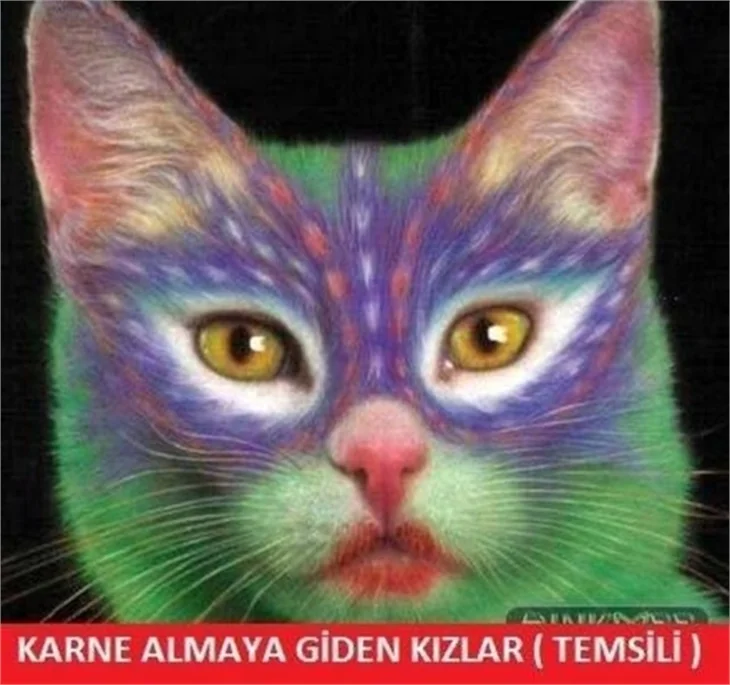Karne günü caps'leri!