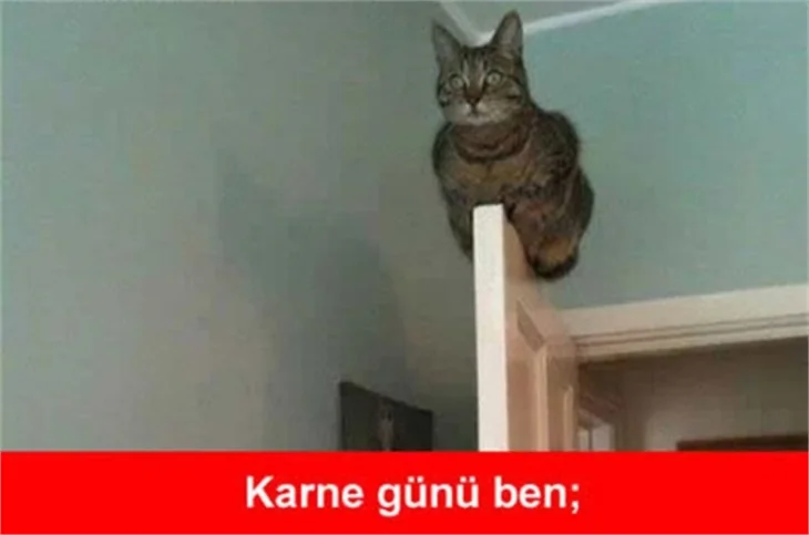 Karne günü caps'leri!
