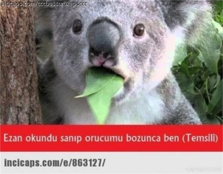 En komik Ramazan capsleri!