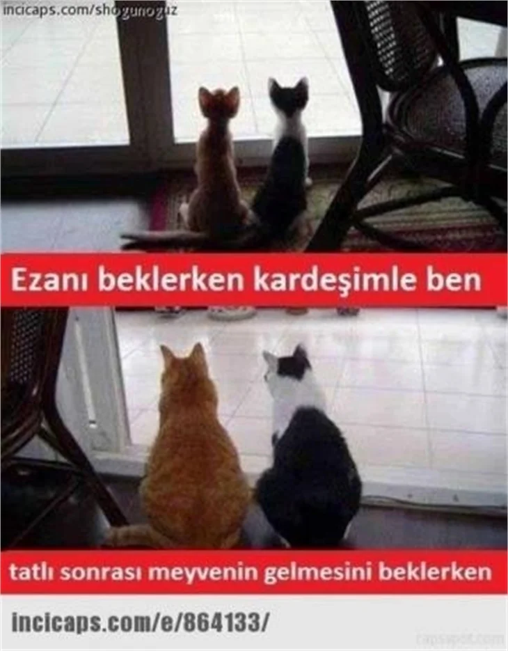 En komik Ramazan capsleri!