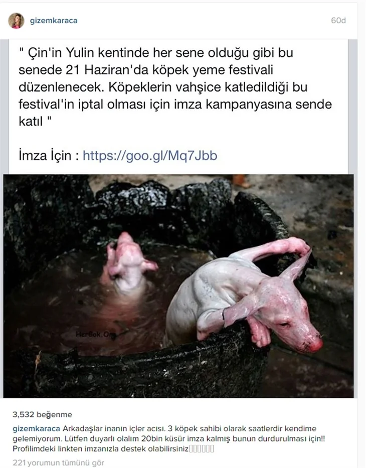 Ünlülerden katliama dur çağrısı