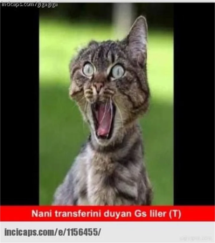 Van Persie geldi sosyal medya patladı!