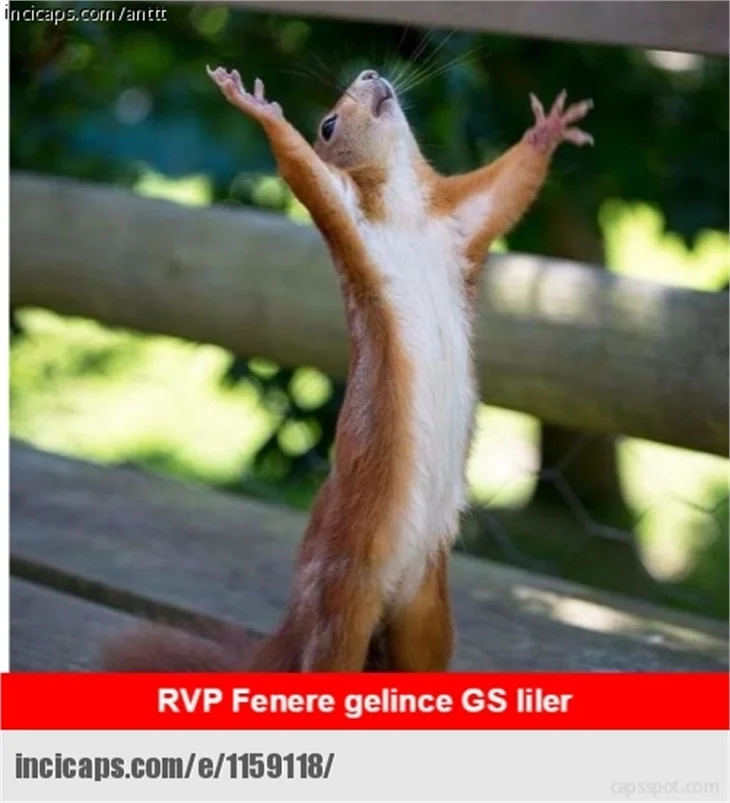 Van Persie geldi sosyal medya patladı!