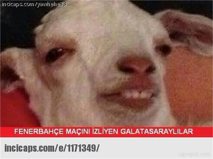 Fenerbahçe elenince capsler patladı