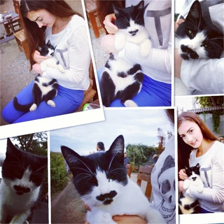 Burcu Özberk'in instagram halleri...