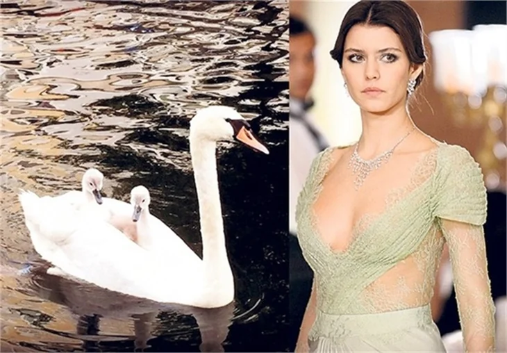 Beren Saat hamile mi?