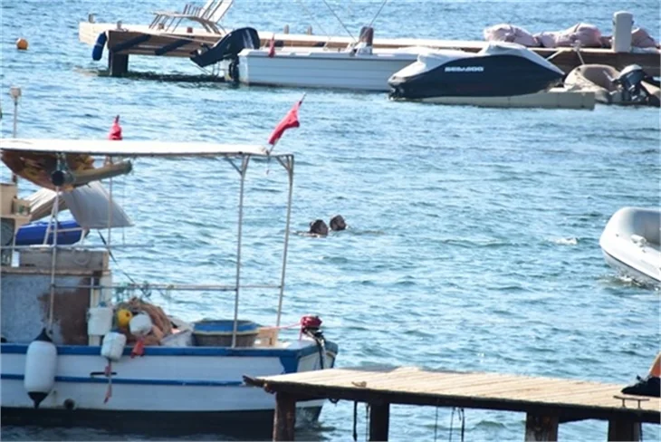 Merve Boluğur ile Murat Dalkılıç tatilde