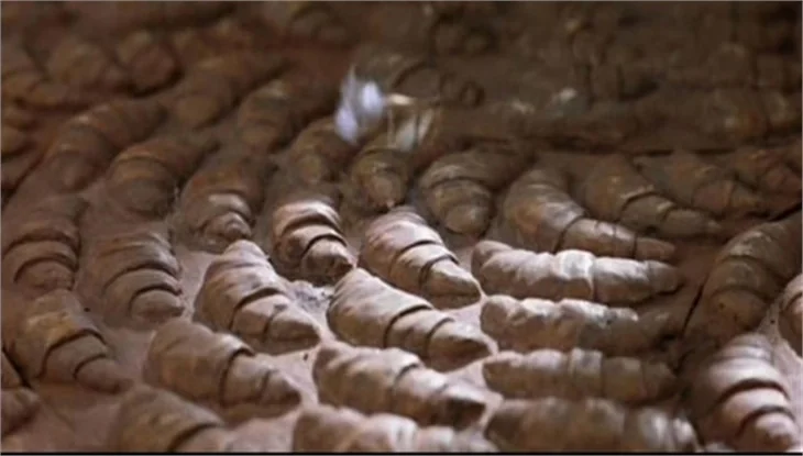 İşte film ve dizilerdeki unutulmayacak hatalar...