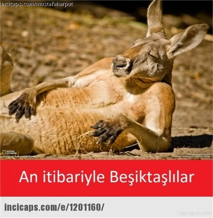Fenerbahçe-Galatasaray derbisinin olay capsleri