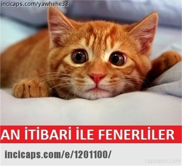 Fenerbahçe-Galatasaray derbisinin olay capsleri
