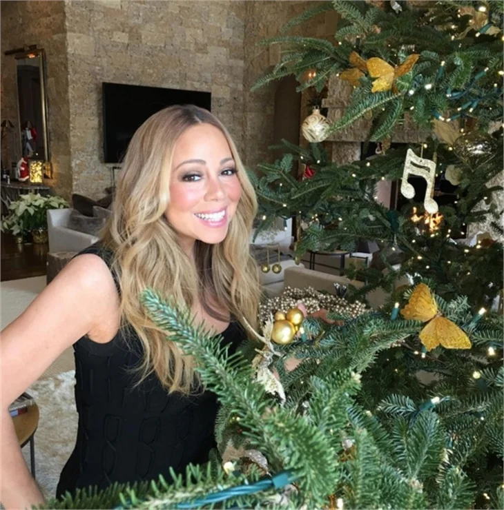 Mariah Carey'in mutlu aile tablosu...