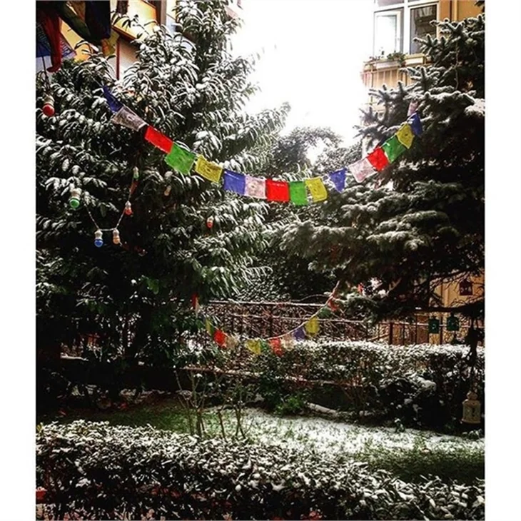Ünlülerin kar sevinci
