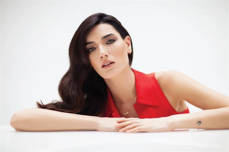 Hakim Hande Subaşı'nı boşamadı!