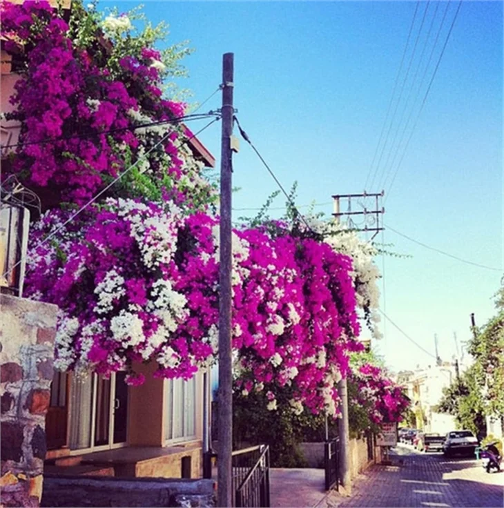Ünlülerin ilk Instagram paylaşımları