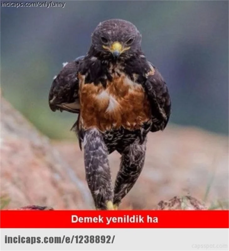 Fenerbahçe-Beşiktaş caps'leri!