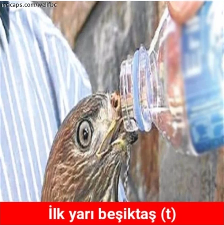 Fenerbahçe-Beşiktaş caps'leri!