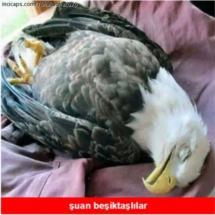 Fenerbahçe-Beşiktaş caps'leri!