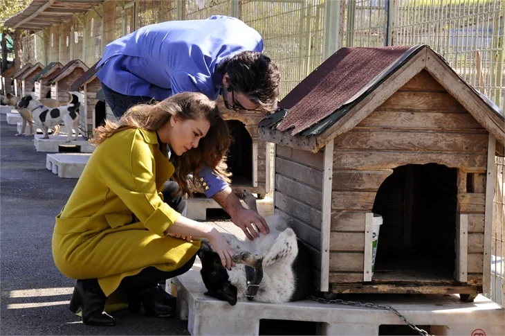 Şükrü Özyıldız ile Aslı Enver'den barınak ziyareti!