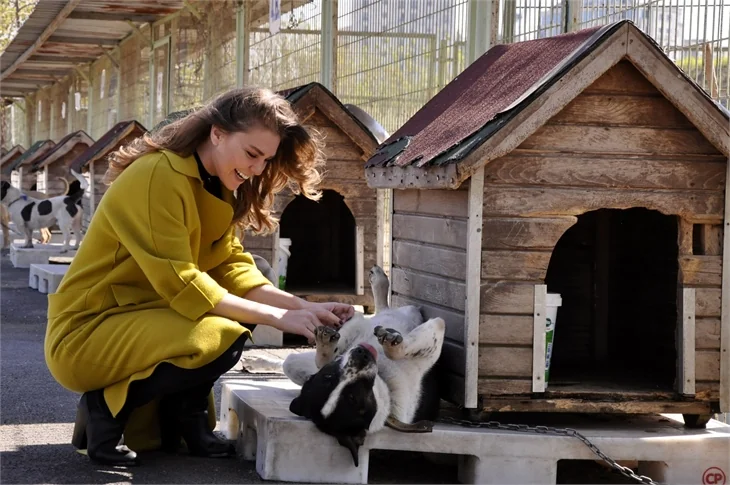 Şükrü Özyıldız ile Aslı Enver'den barınak ziyareti!