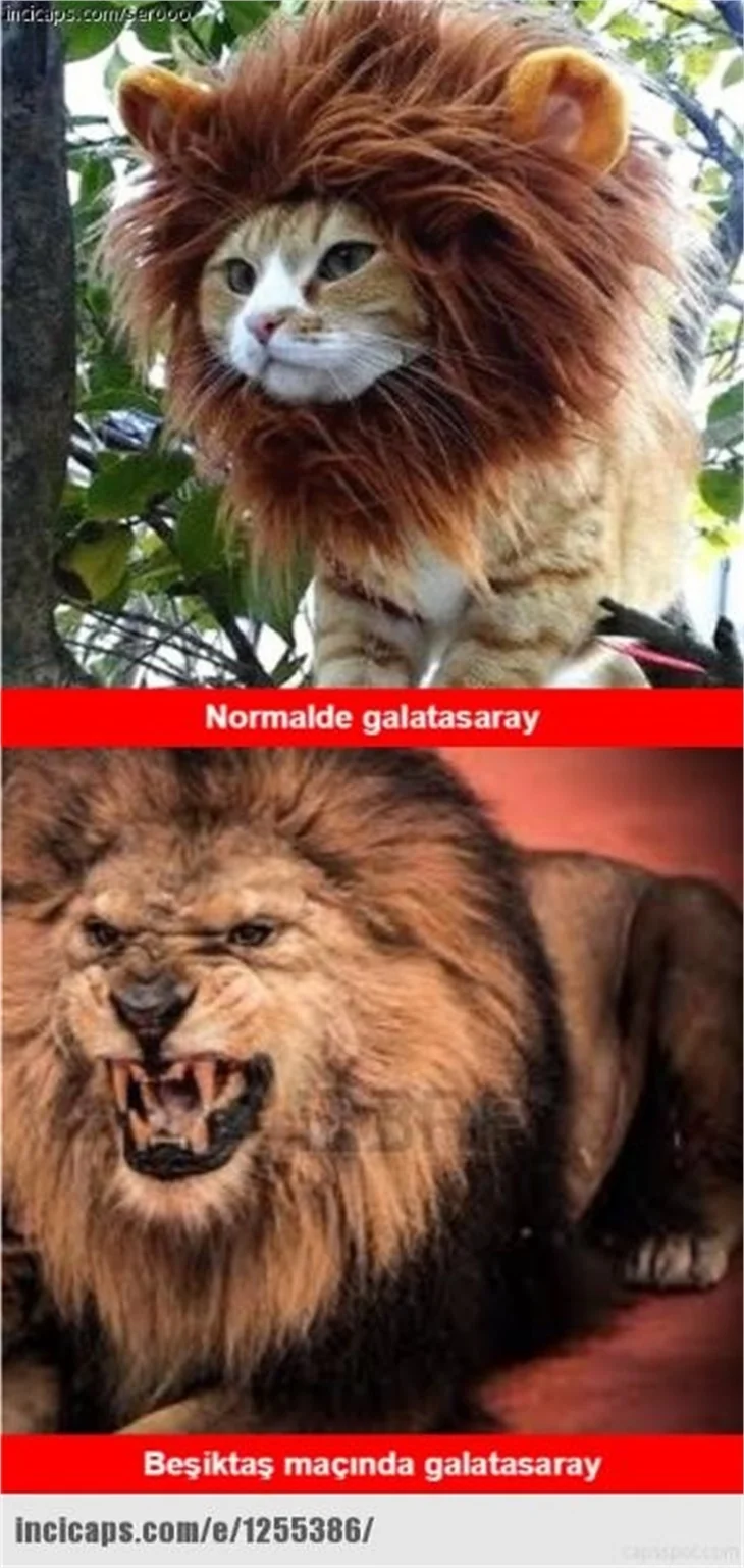 Galatasaray-Beşiktaş derbisi sonrası caps yağdı