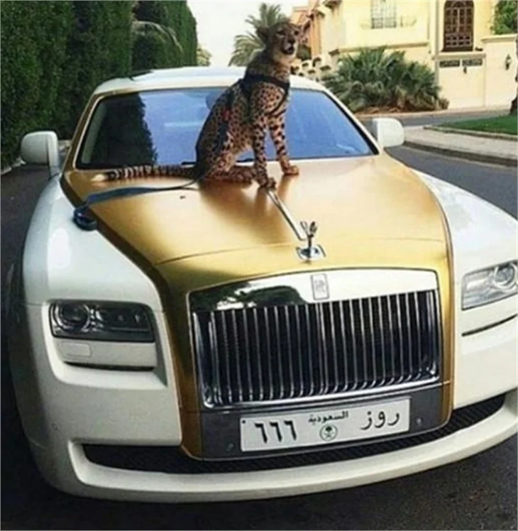 Yeni akım arabanın üzerinde poz vermek!