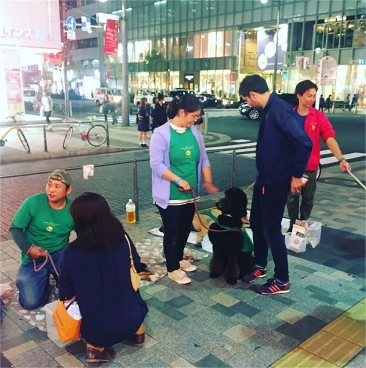 Cansel Elçin'in Japonya sevdası!