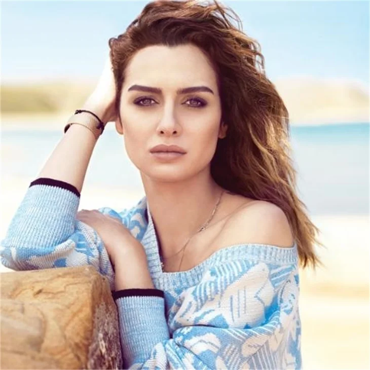 Demet Akalın ile Birce Akalay arasında 'polis' polemiği