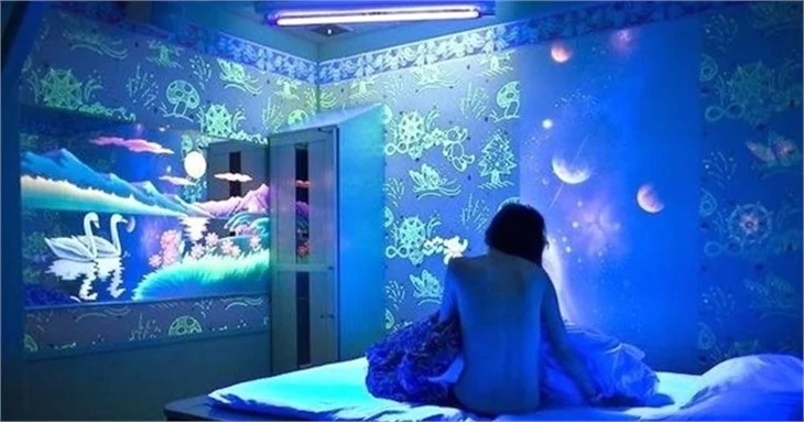 Japonya'nın fantezi odaları!