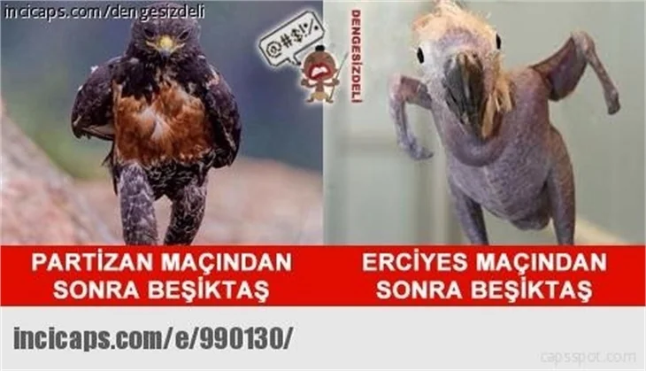 Kırıp geçiren Beşiktaş capsleri