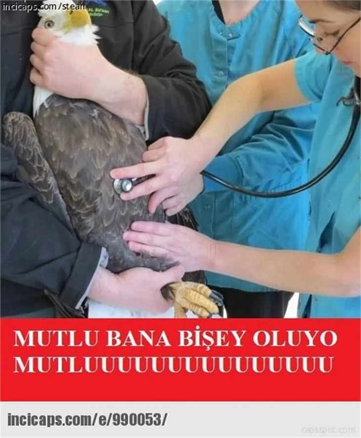 Kırıp geçiren Beşiktaş capsleri
