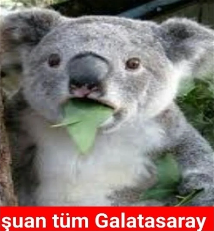 Galatasaray ve Fenerbahçe derbisi capsleri coşturdu