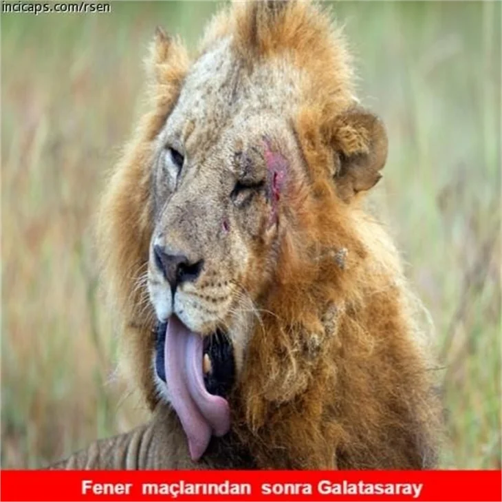 Galatasaray ve Fenerbahçe derbisi capsleri coşturdu