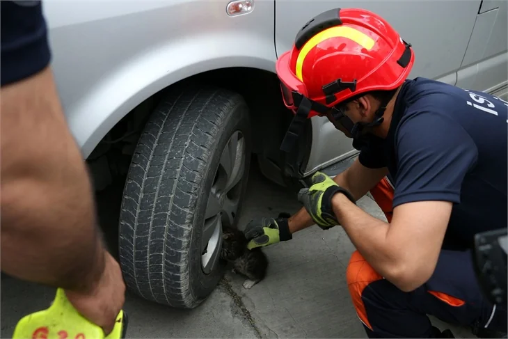 Sıkışan kediyi itfaiye kurtardı!