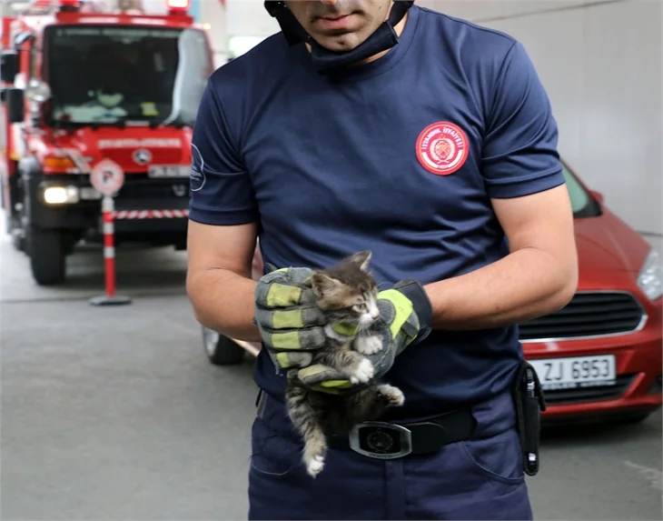 Sıkışan kediyi itfaiye kurtardı!