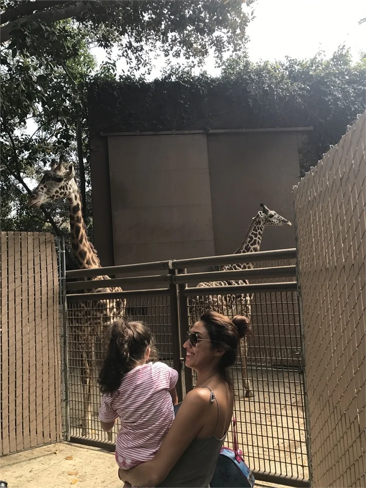 Zuhal Topal'ın Los Angeles tatili!