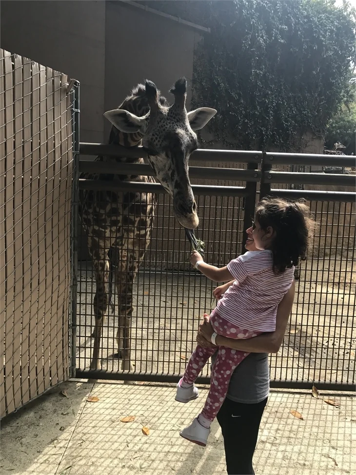 Zuhal Topal'ın Los Angeles tatili!