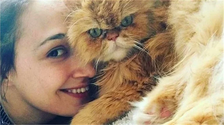 Sosyal medyada ünlülerin sert cevapları...