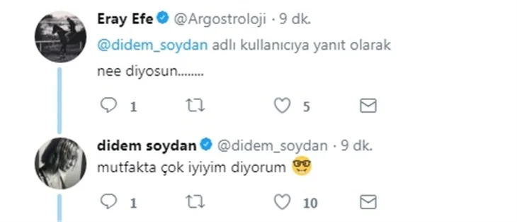 Didem Soydan'dan 'erik' ayarı!