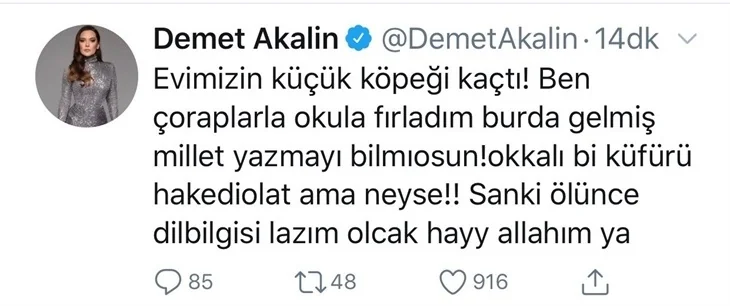 Demet Akalın'ı çıldırttılar: "Okkalı bir küfür hak ediyorlar..."