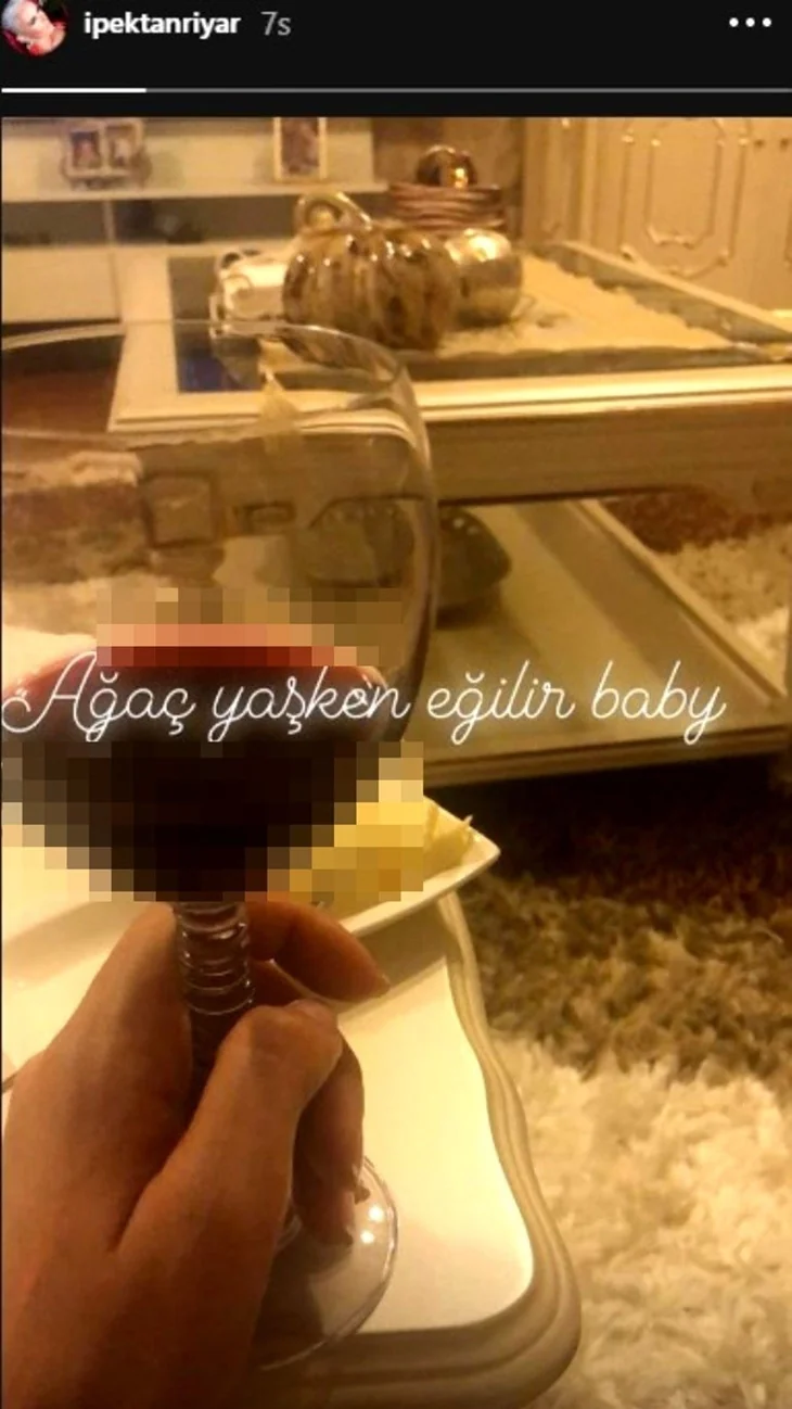 İpek Tanrıyar takipçilerine hakaret etti!