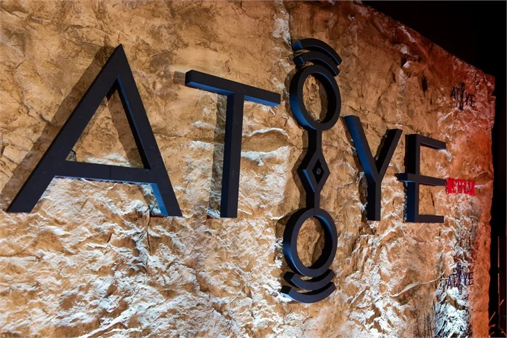 'Atiye'nin galasına ünlü akını!
