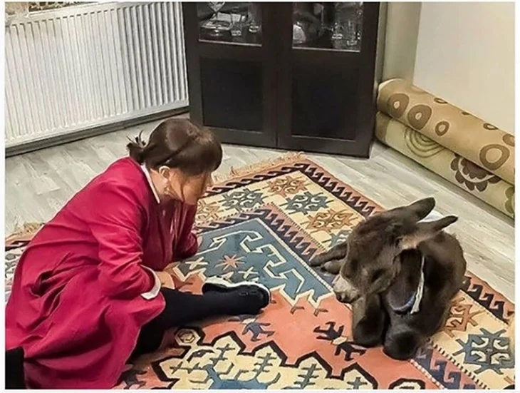 Sezen Aksu, sıpasını yalısına aldı!