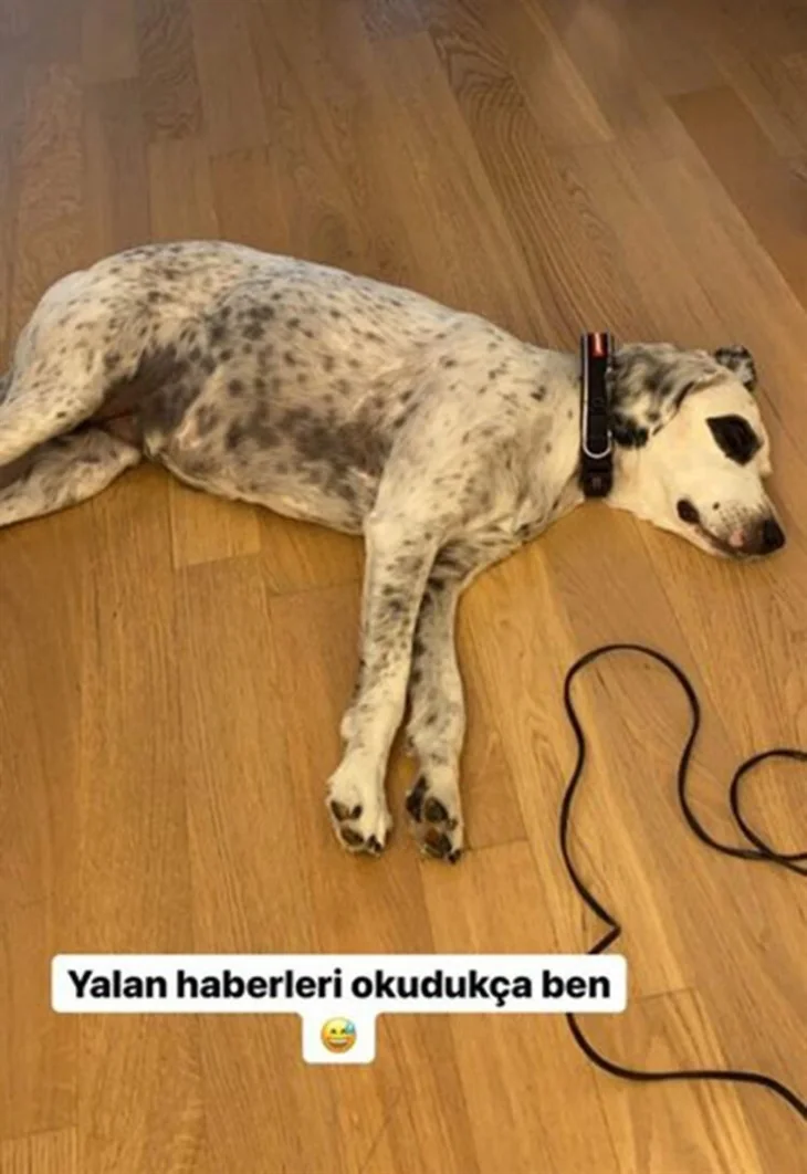 Hadise ile Kaan Yıldırım ayrıldı mı? Yanıt geldi!