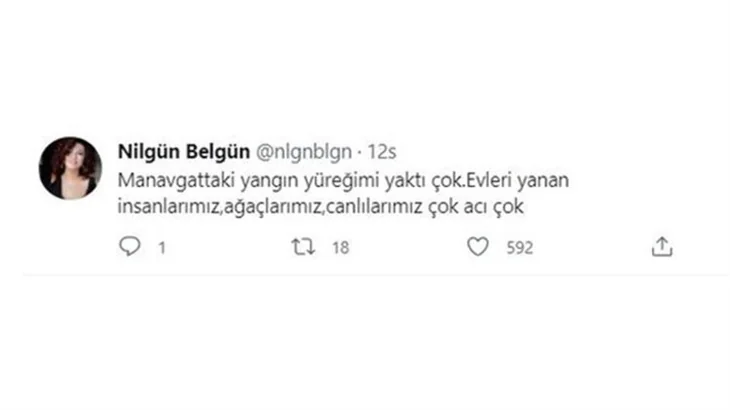 Ünlü isimler orman yangınlarına sessiz kalmadı!