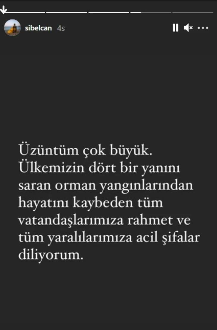 Ünlü isimler orman yangınlarına sessiz kalmadı!